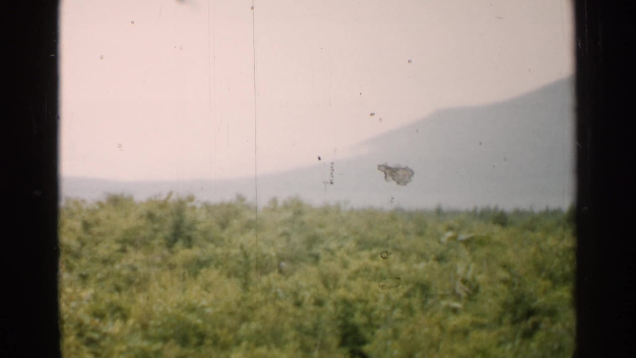 1952 Japan 8mm frame showing green forest below a hazy mountain slope, bordered by dark window edges.
