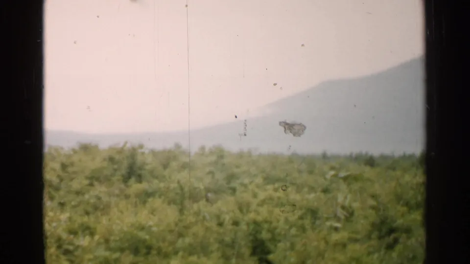 1952 Japan 8mm frame showing green forest below a hazy mountain slope, bordered by dark window edges.