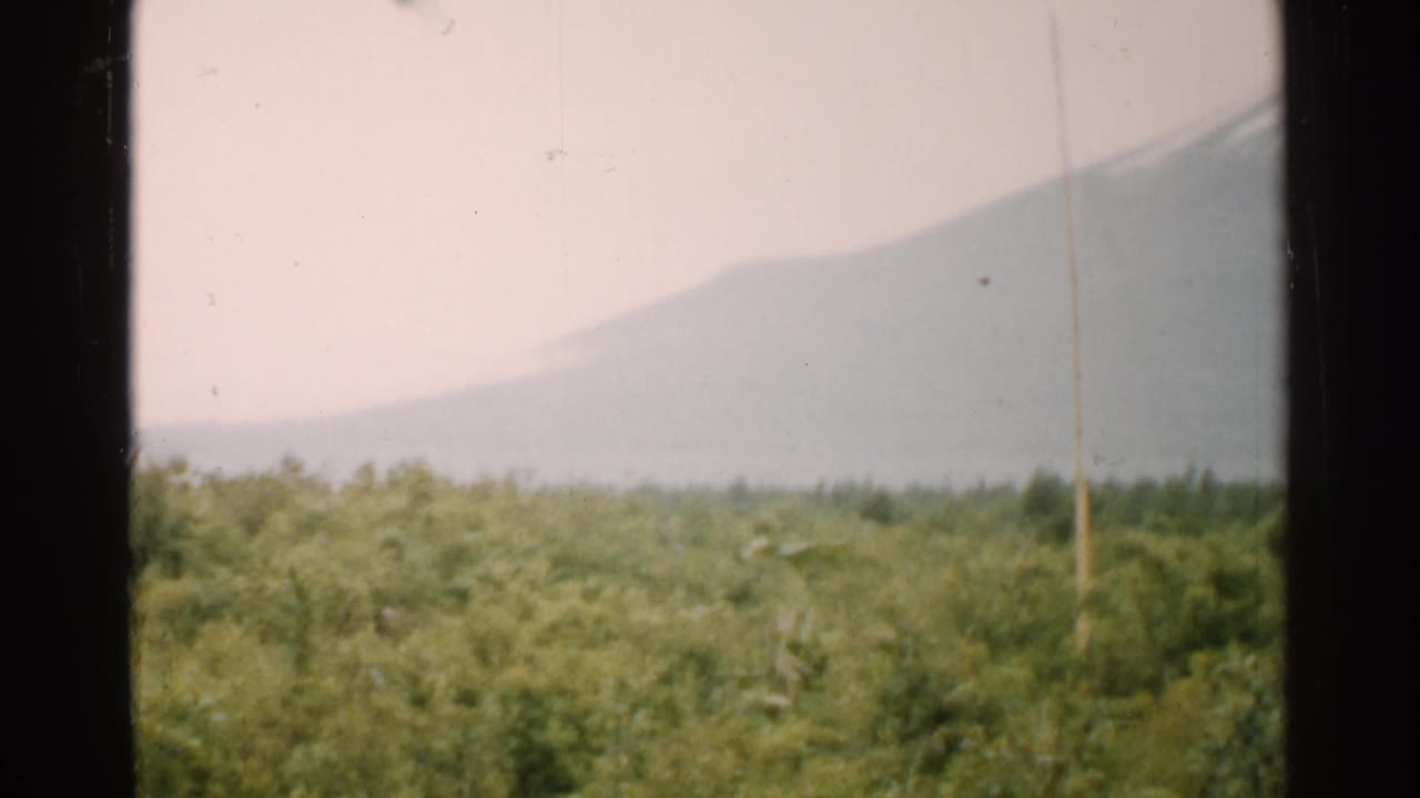 Distant mountain above green forest, framed by a dark central window edge.