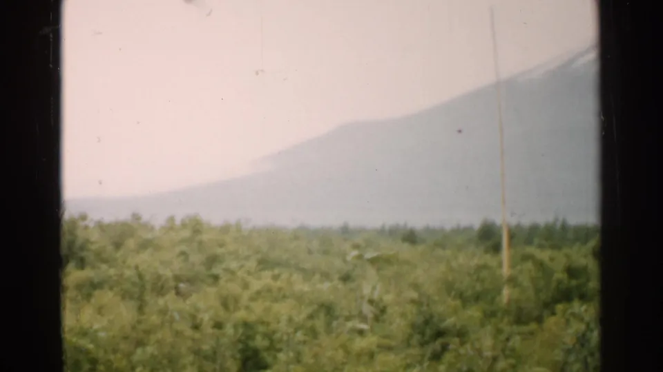 1952 Japan landscape frame with forest canopy and hazy mountain ridge divided by a dark window or frame edge.