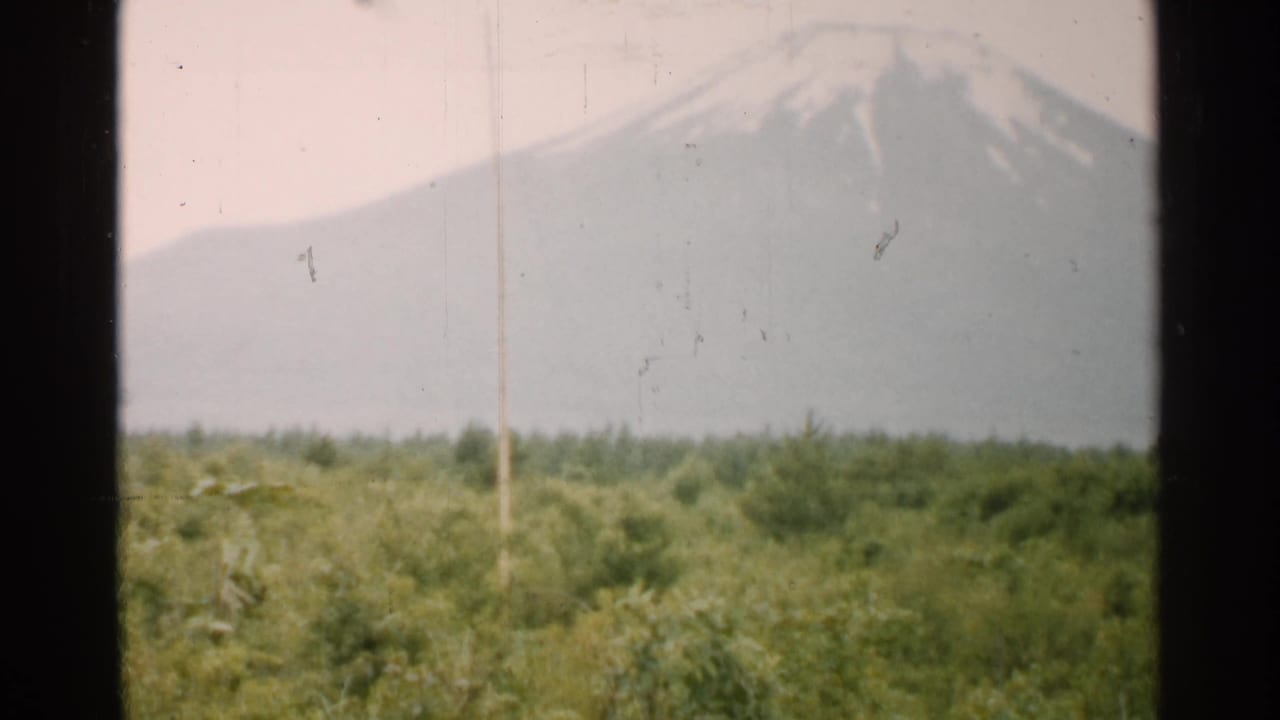 Snow-capped mountain above green fields, seen through dark vertical frame edges.