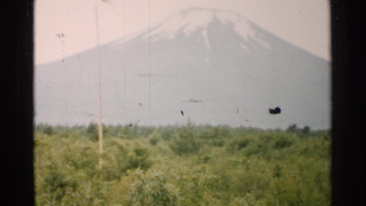 Distant snow-capped mountain over green vegetation with dark frame borders.