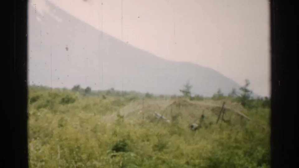 1952 Japan landscape frame with grassy hillside, scattered small trees, and a faded mountain form in the background.