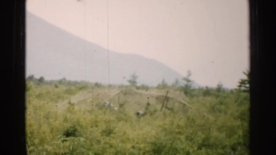 1952 Japan 8mm frame of soft-focus grassland, shrubs, and small trees with a hazy mountain background.