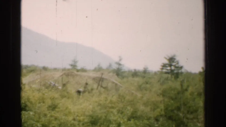 1952 Japan home-movie frame showing tall grass, small evergreens, and a pale mountain slope in hazy light.
