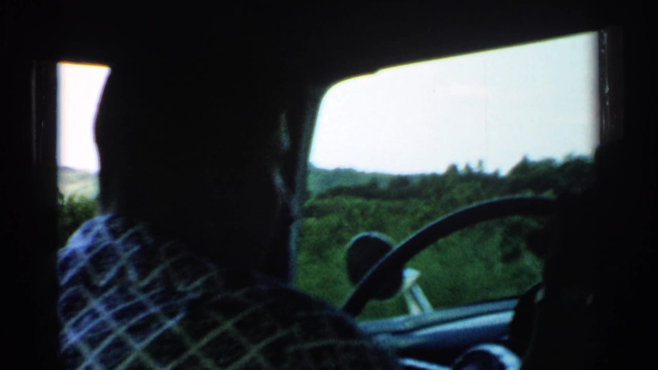 Driver silhouette and steering wheel inside a car with trees and fields visible through the window.