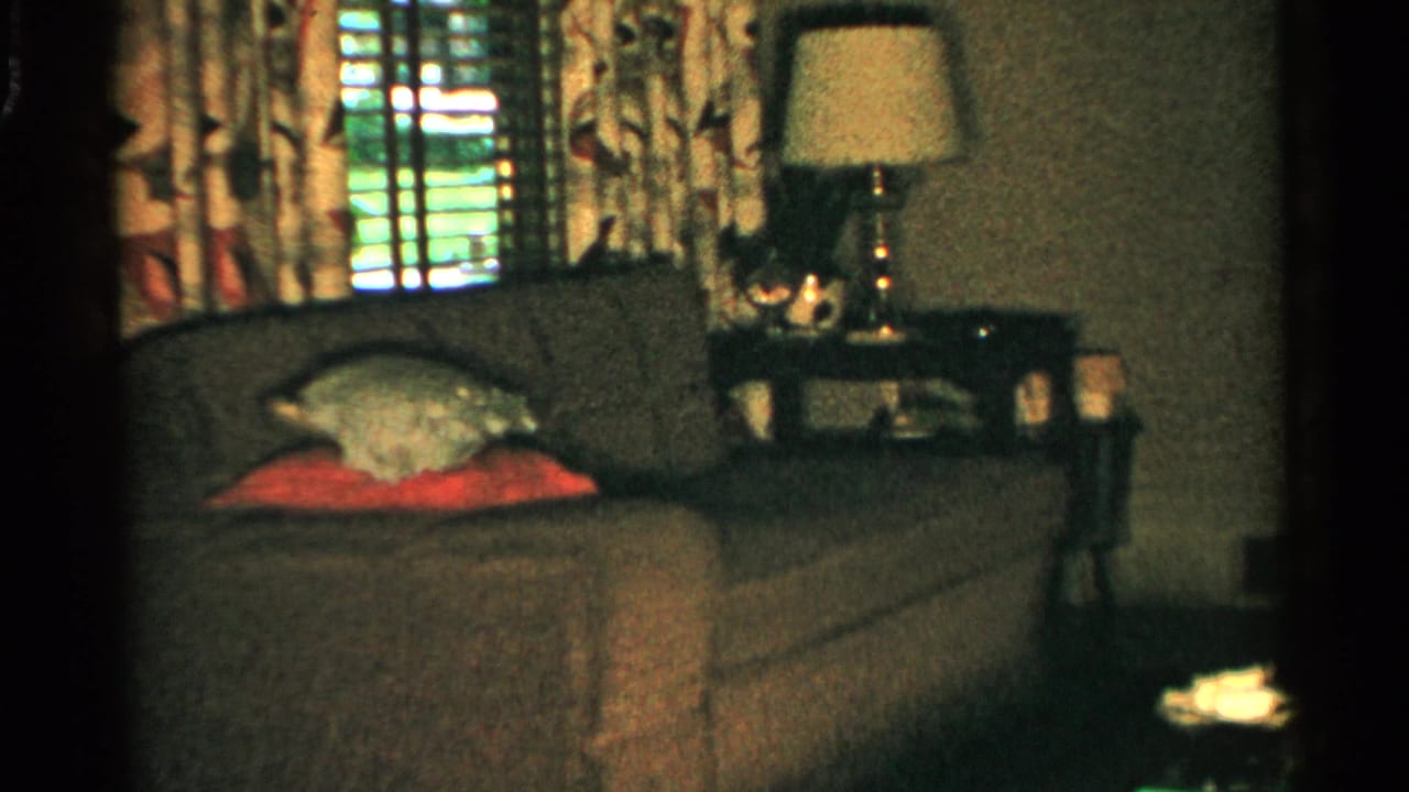 Couch with pillows under a window, with patterned curtains and a lamp on a side table.