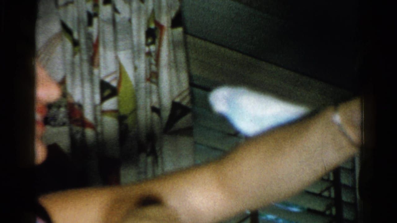1952 New Hampshire home-movie frame with a white pet bird near a person's arm, patterned curtains, and an interior stair rail.
