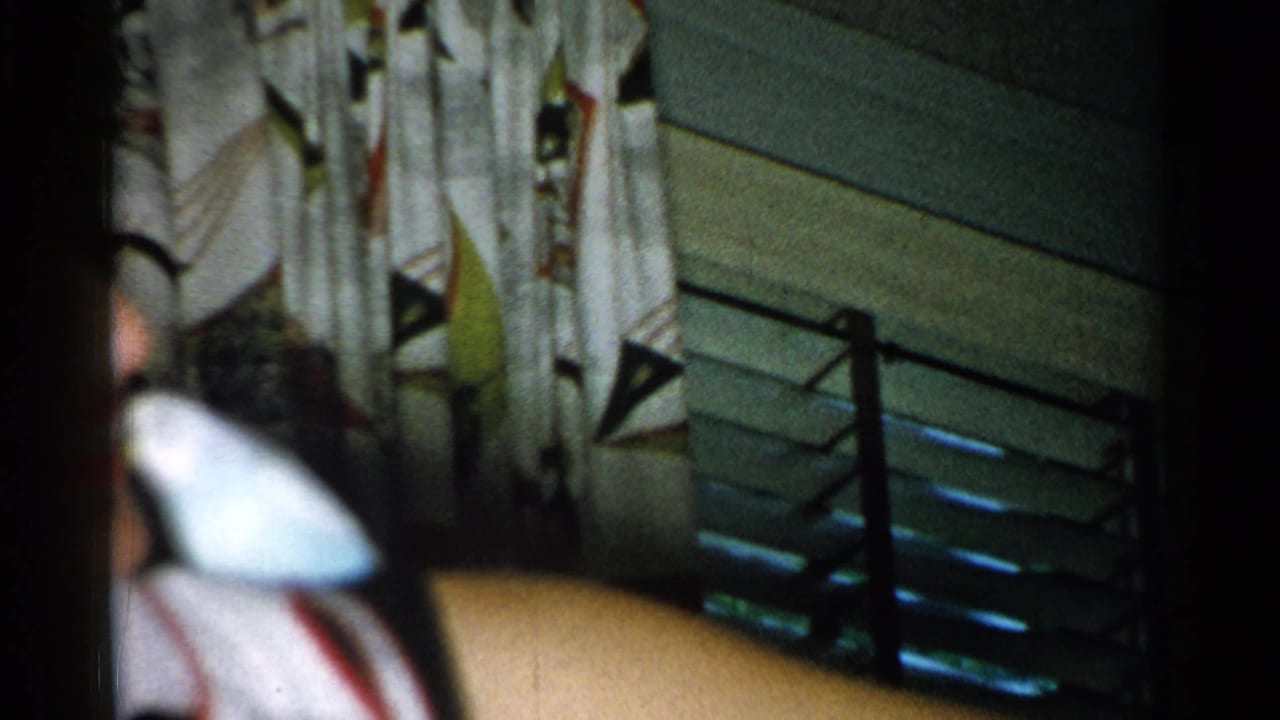 White bird and person's arm in front of curtains and a stair rail.
