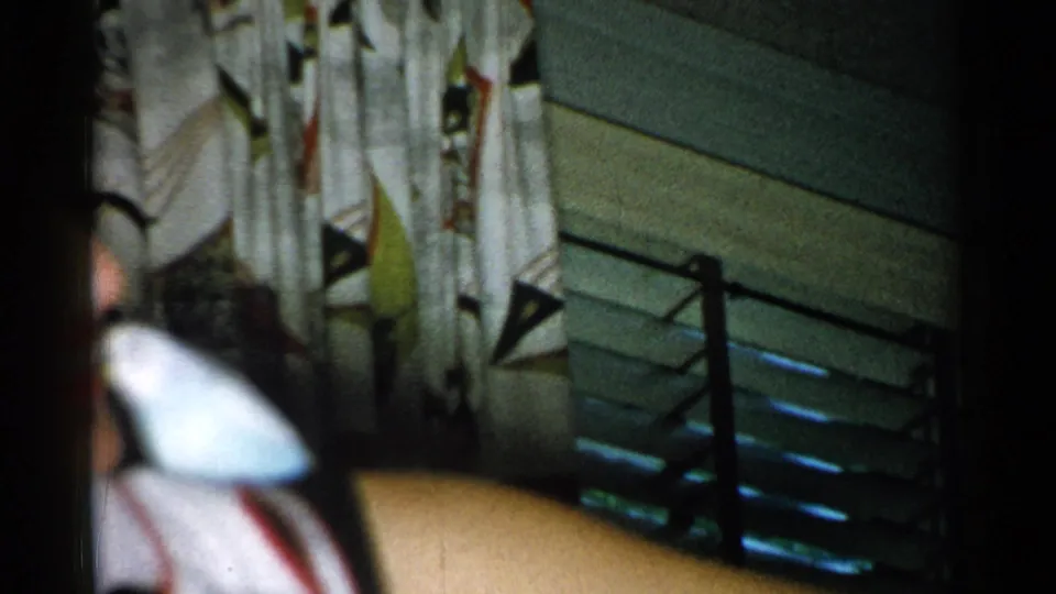 Home-movie frame from New Hampshire showing a white pet bird near a person's arm in a mid-century interior.