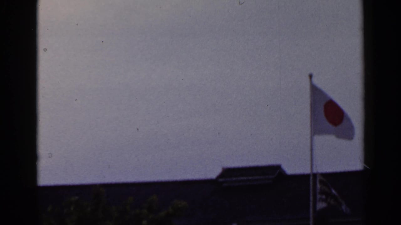 Japanese flag on a pole above a dark roofline against a pale sky.