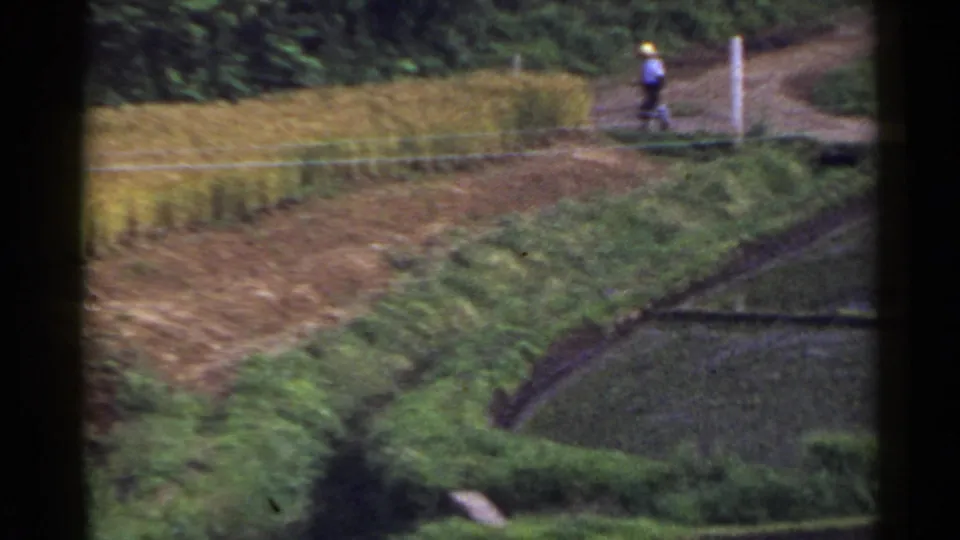 1953 Japan rural view with a distant person on a path above water-filled paddies and cultivated field terraces.