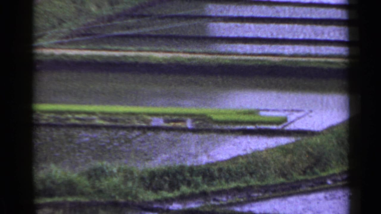 1953 Japan home-movie frame with reflective rice terraces, green shoots, earthen banks, and a pale path crossing the upper field edge.