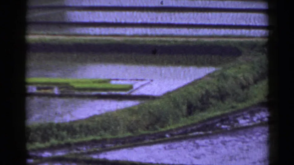1953 Japan 8mm frame showing flooded rice paddies stepped across the landscape with green embankments and water channels below.