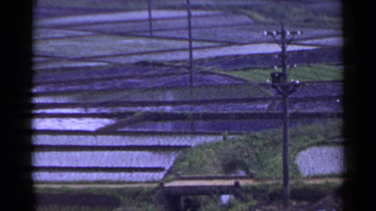 1953 Japan 8mm frame showing terraced rice paddies, water-filled plots, green field edges, and utility poles across a rural landscape.