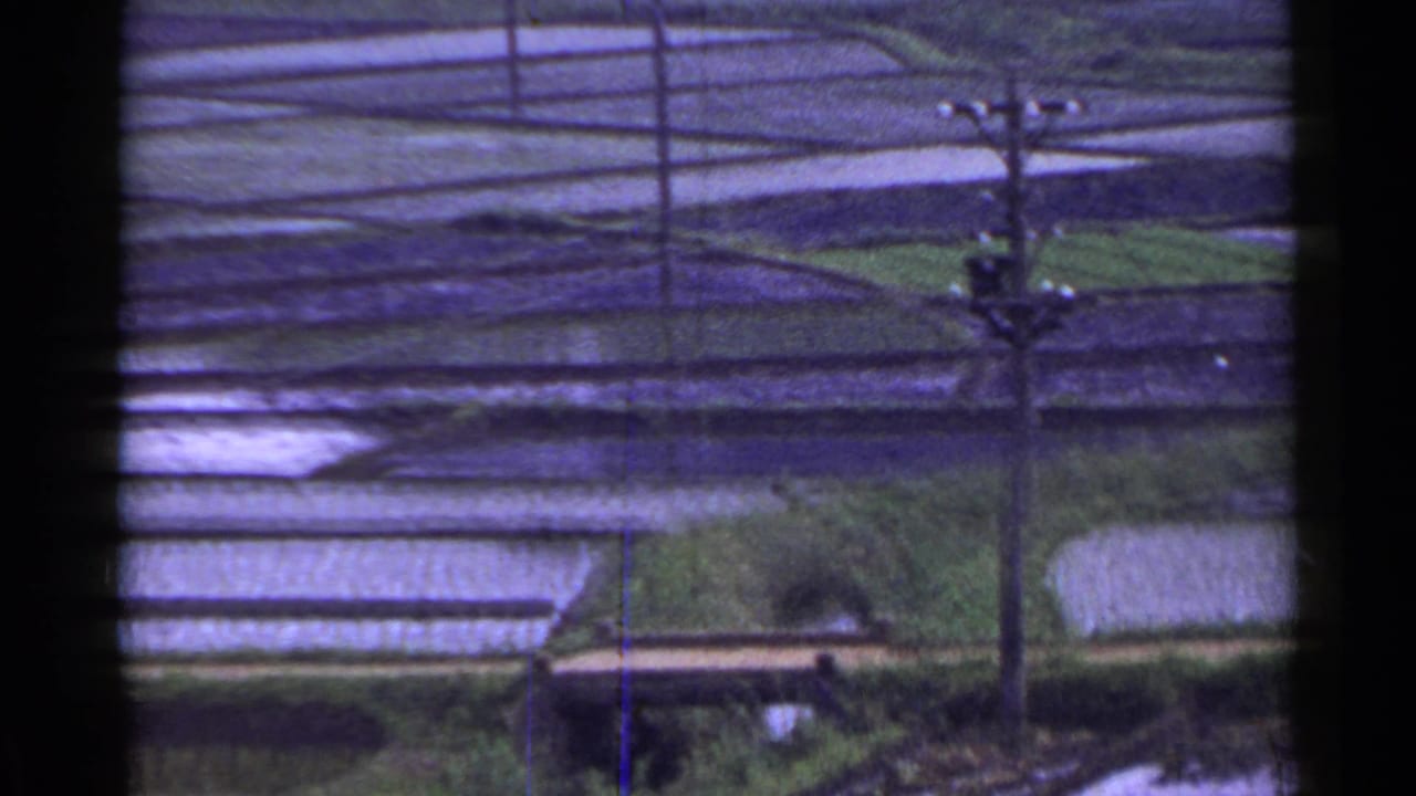 1953 Japan home-movie frame with reflective rice paddies, utility pole, wires, and a small rural structure below the fields.