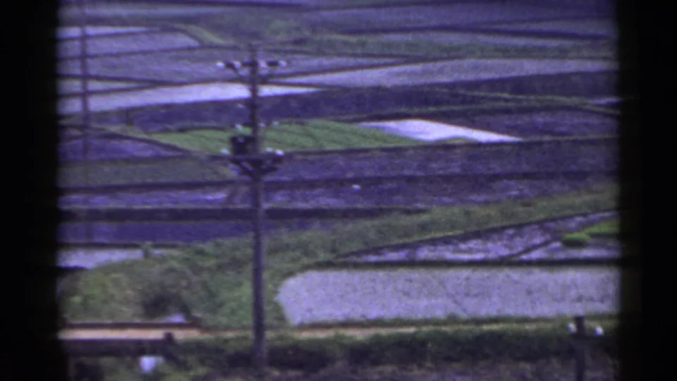 1953 Japan 8mm view of a utility pole in front of terraced rice paddies, water plots, green embankments, and a small field structure.