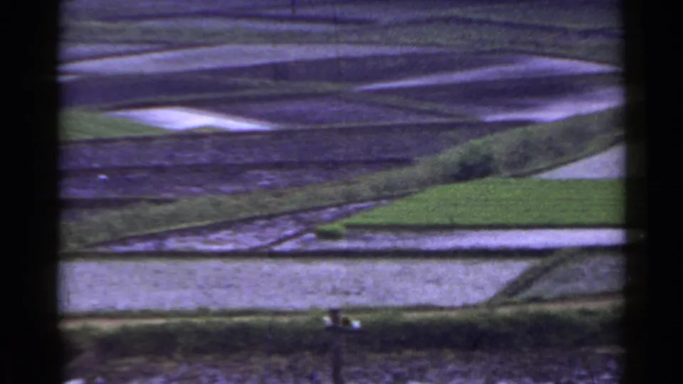 1953 Japan rural landscape frame showing layered rice paddies, reflective water fields, green banks, and utility wires during a pan.