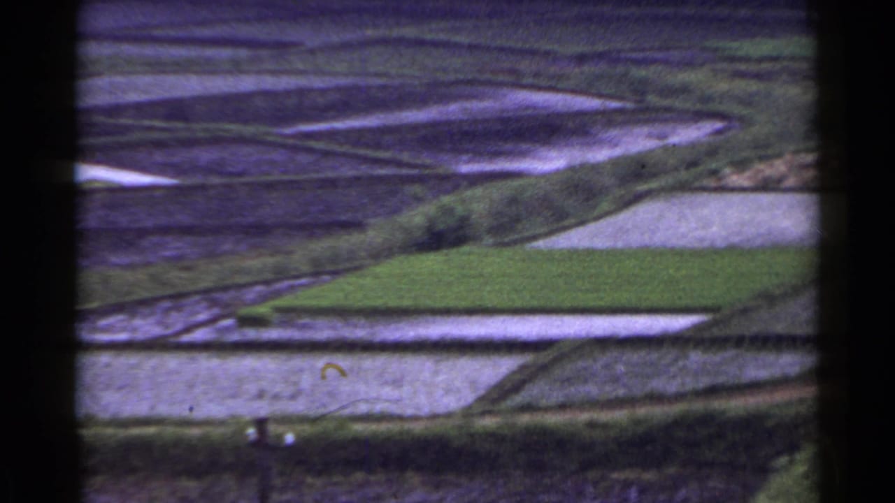 Terraced rice paddies and green fields seen through dark vertical framing.