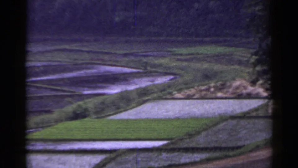 1953 Japan frame with reflective paddy water, green field sections, and dark window-like borders around the rural view.