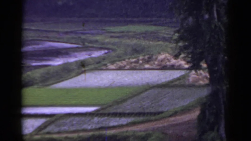 1953 Japan countryside frame showing terraced paddies, green crop areas, and a dark foreground edge as the camera passes the fields.