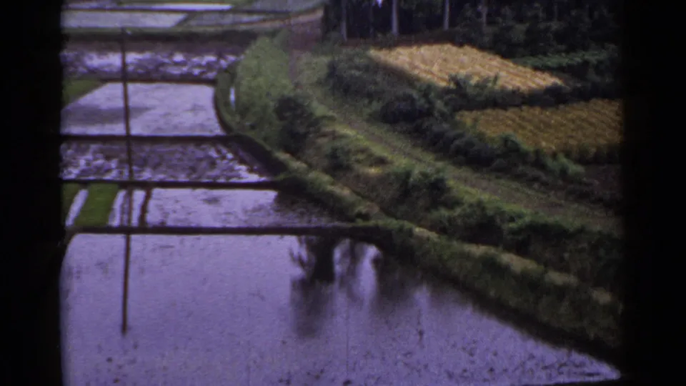 1953 Japan home-movie frame showing reflective rice paddies, narrow field banks, and harvested terraces in a rural landscape.