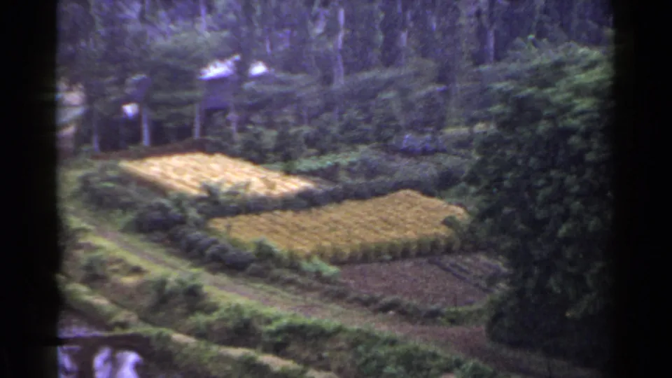 1953 Japan countryside frame showing harvested terraces, green brush, a lower waterway, and wooded background.