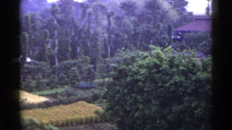 1953 Japan 8mm frame showing lush vegetation and a partly hidden tiled-roof house viewed from behind a dark frame.
