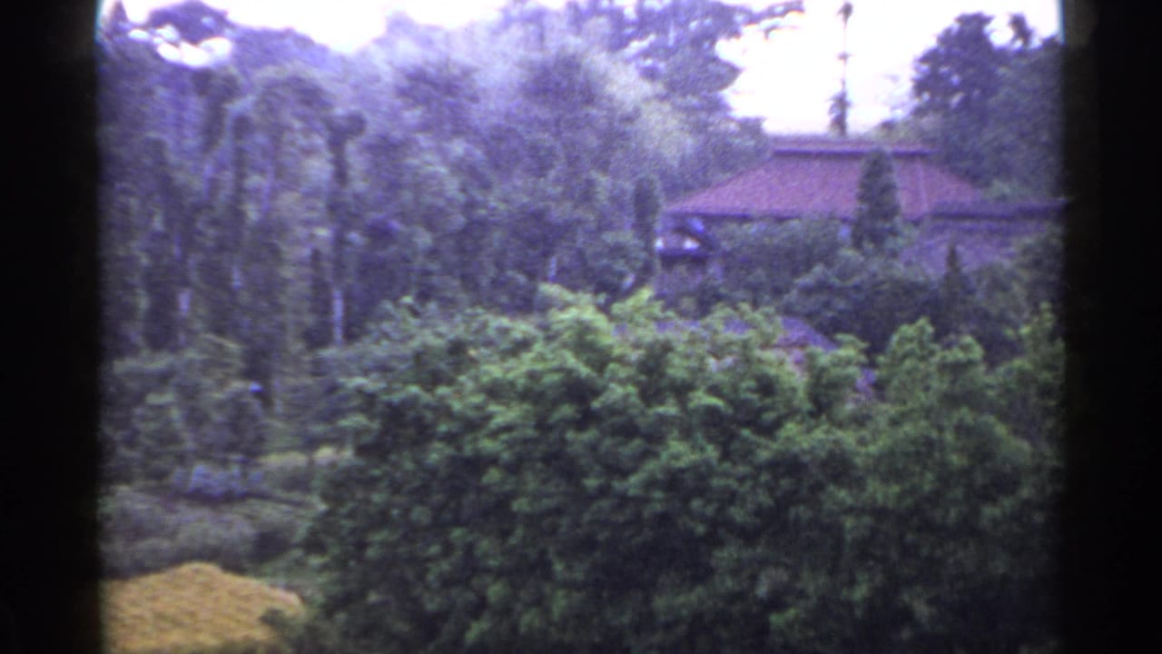 1953 Japan home-movie still with a tiled-roof residence partly hidden by dense garden foliage and trees.