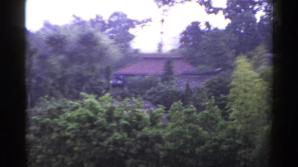 1953 Japan 8mm still showing a residential roofline beyond thick shrubs, tall trees, and a dark vertical frame edge.