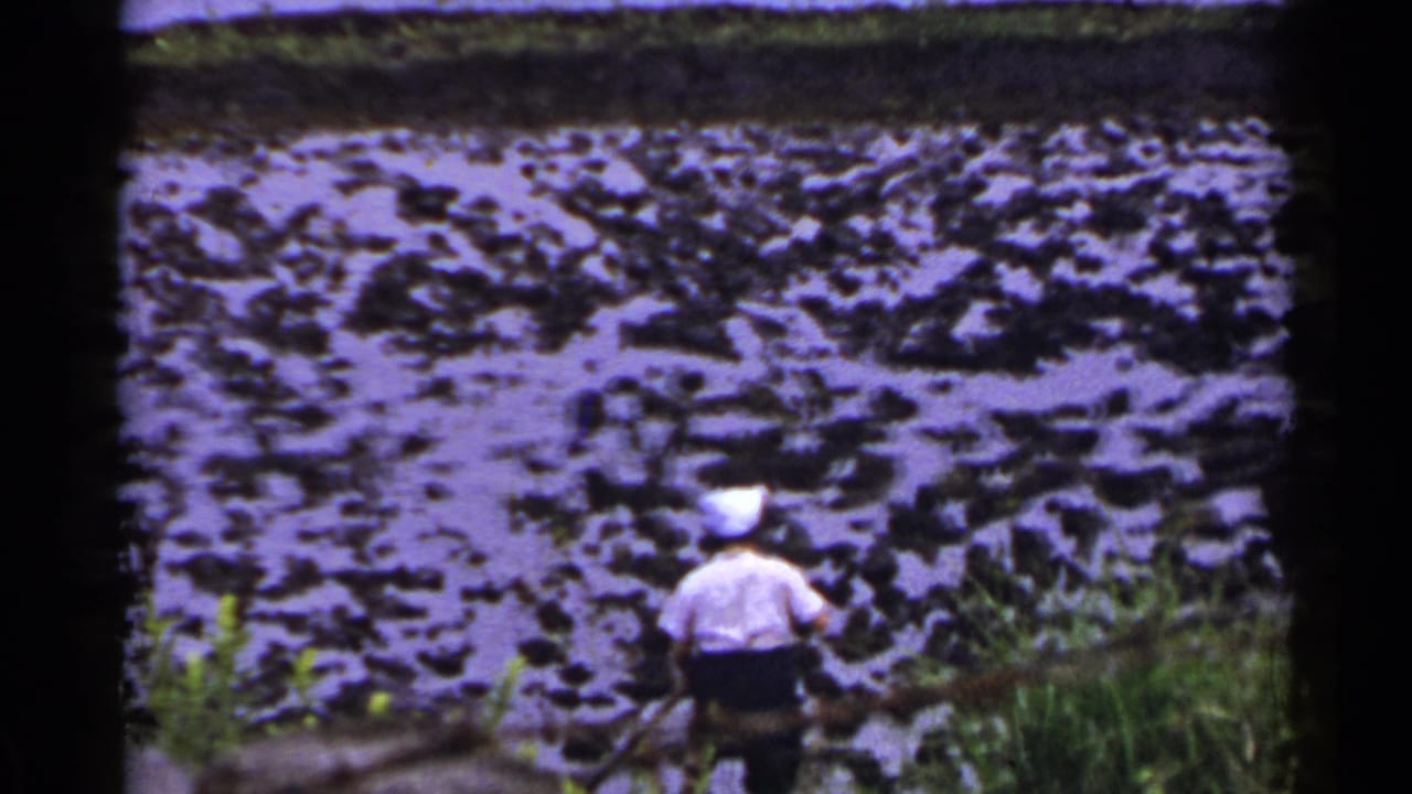 Figure in white cap and shirt seen from behind near dark mud and shallow water.