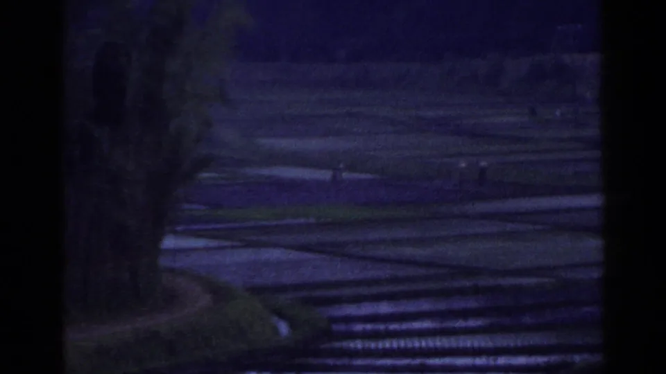 Dim 1953 Japan frame of flooded rice paddies, narrow embankments, and small distant people working across the terraces.