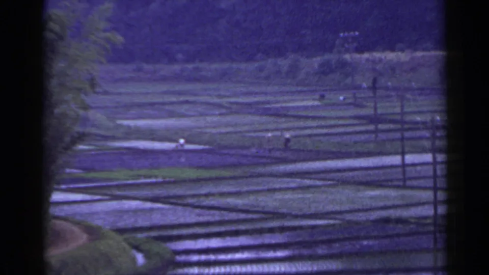 1953 Japan home-movie frame of flooded terraced paddies, upright utility poles, green banks, and small distant figures in the fields.