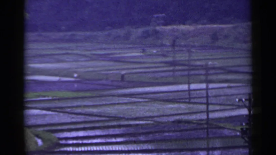 1953 Japan 8mm frame showing terraced water-filled rice paddies, overhead wires, and distant tree-lined hills.