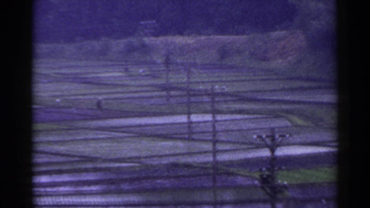 Water-filled terraced fields crossed by overhead wires and a utility pole.