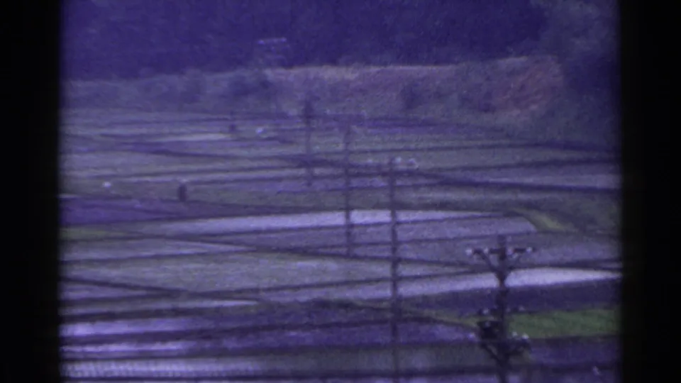 1953 Japan home-movie frame with reflective paddies, rural utility lines, and wooded hillside in the distance.