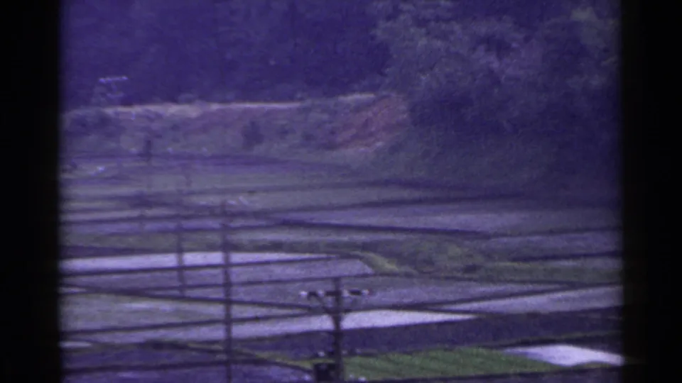 1953 Japan 8mm frame showing a slow pan across terraced rice fields, a utility pole, wires, and purple-tinted film grain.