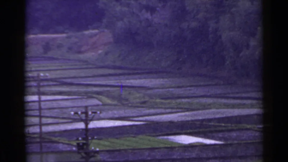 1953 Japan frame showing terraced rice paddies, pale reflective water, utility poles, and a soft purple cast from aged film.