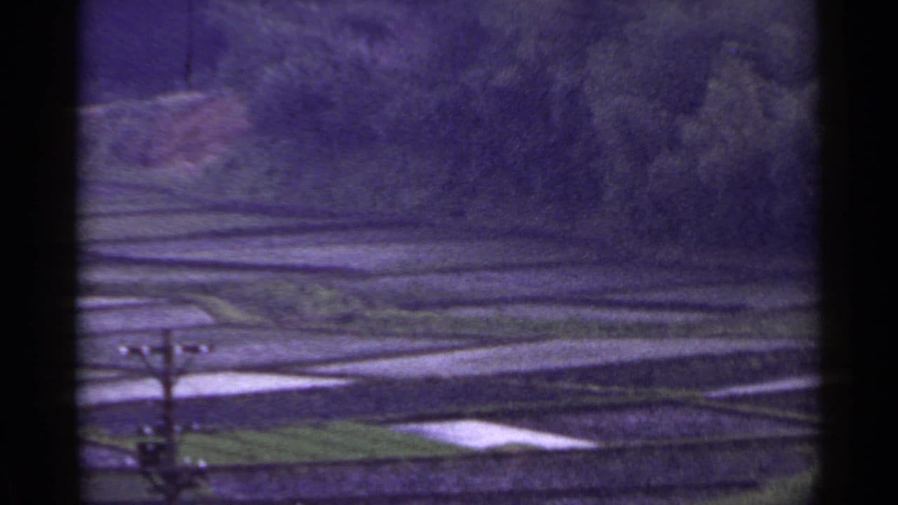 Water-filled terraced fields seen through a dark window frame with trees behind them.
