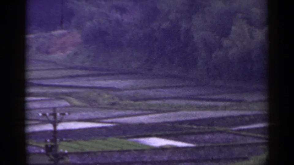 1953 Japan home-movie view of flooded paddy terraces, a utility pole, and forested background through a window frame.