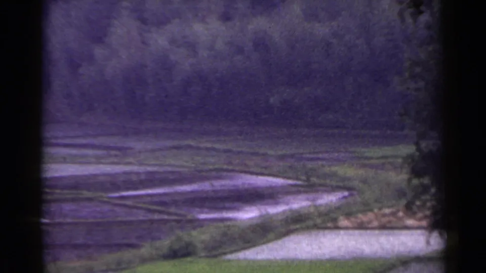 1953 Japan 8mm frame showing flooded terrace fields, grassy banks, and forested vegetation from a window-framed viewpoint.