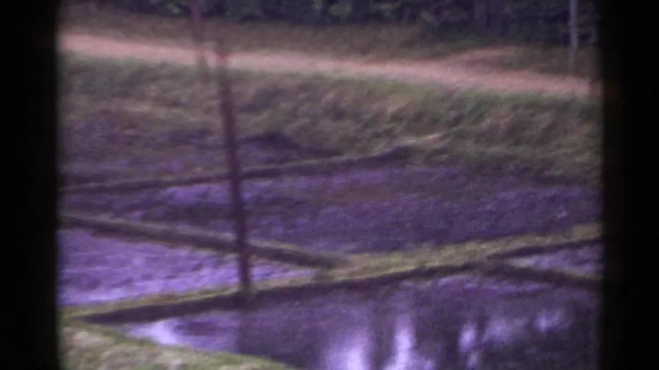 1953 Japan countryside frame with a dirt path, utility pole, reflective paddy water, and terraced field edges.