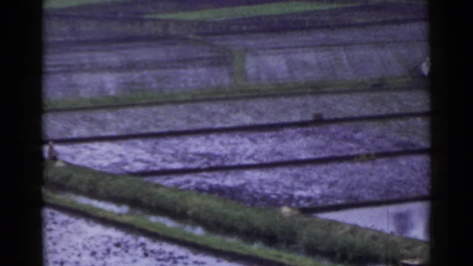 Panned 8mm view of rural Japan rice fields, with waterlogged terraces, grassy divisions, and a distant figure at frame edge.