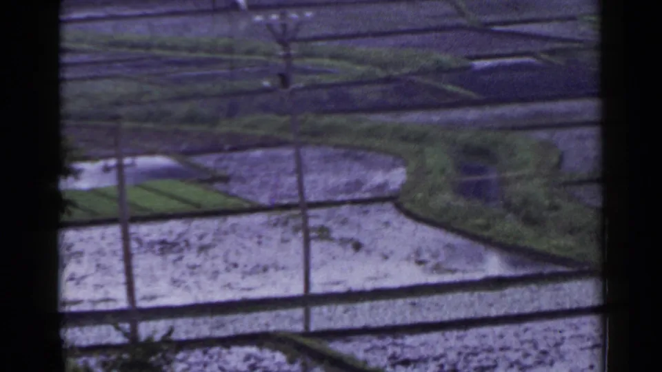 1953 Japan frame showing water-filled terraced paddies, curving field boundaries, utility poles, and distant rural field detail.