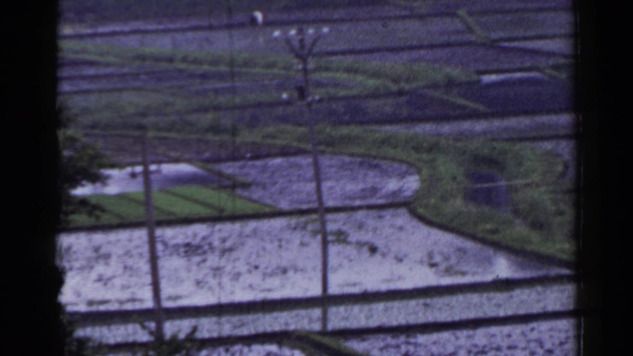 Flooded terraced rice paddies seen beyond dark 8mm frame edges.