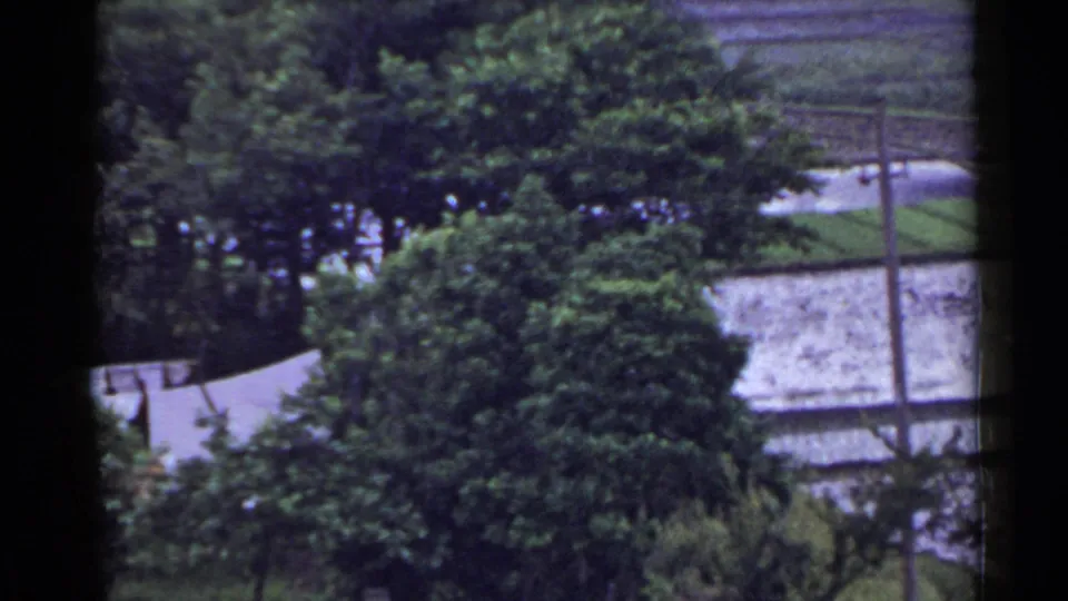 1953 Japan home-movie frame with dense green trees, flooded paddies, wooden poles, and a small pale structure partly hidden by foliage.