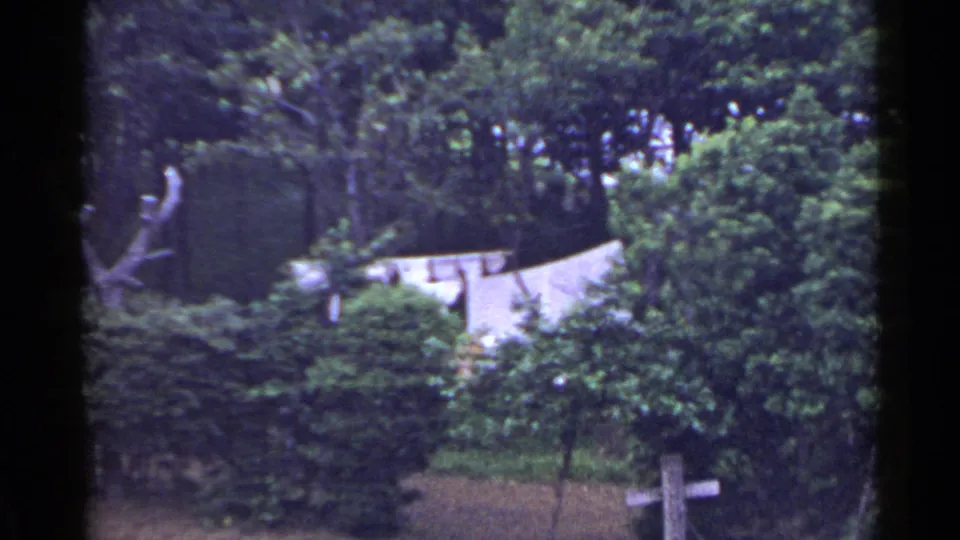 1953 Japan rural frame showing dense foliage, a small pale building, and nearby terraced paddies in soft faded 8mm color.