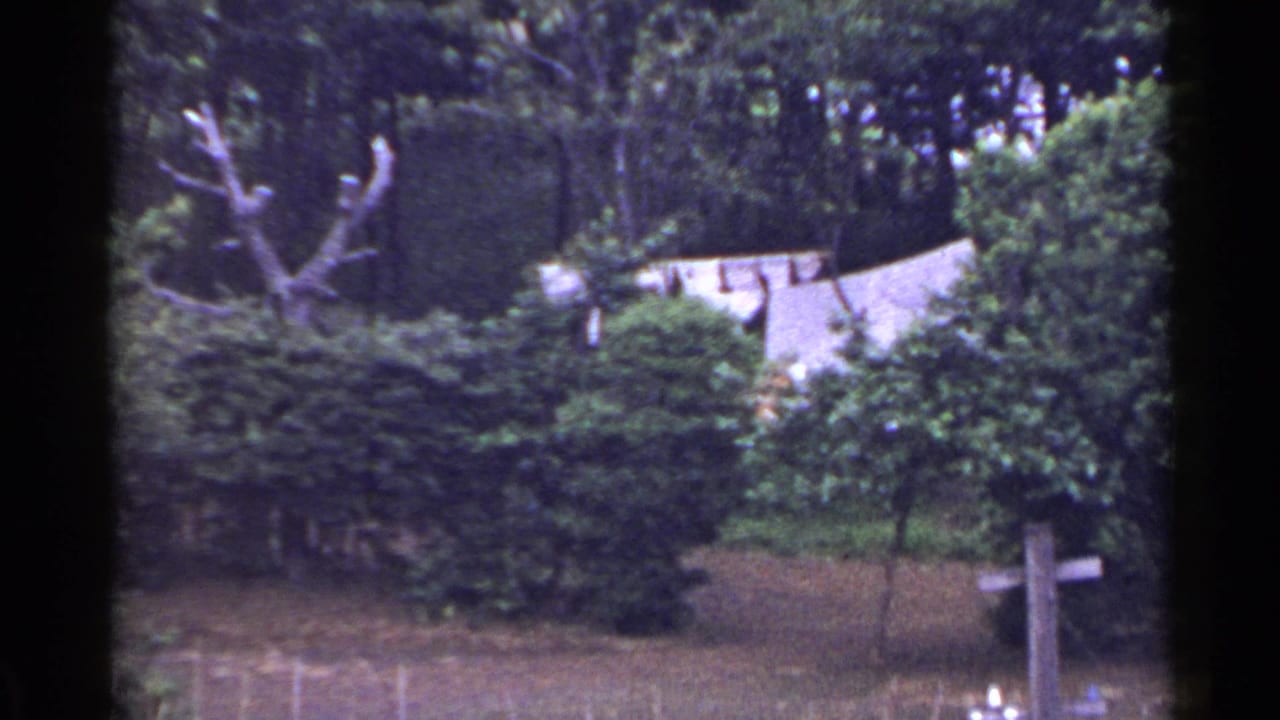 Elevated view of trees, hedges, white laundry, and a pale roof beyond foliage.