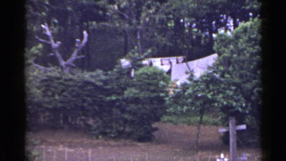 1953 Japan 8mm frame showing an elevated rural view with dense greenery, white laundry on a line, and a light roof partly hidden by trees.