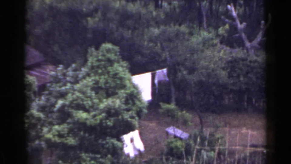 1953 Japan 8mm frame showing a rural garden with trees, white laundry or cloth, a small chair or bench, low fencing, and shaded ground.